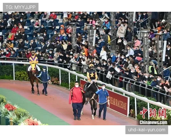 香港“全城垒球日”吸引超三千市民参与体验